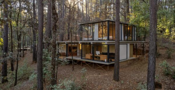 בית שקוף בין העצים מאפשר לחיות בטבע