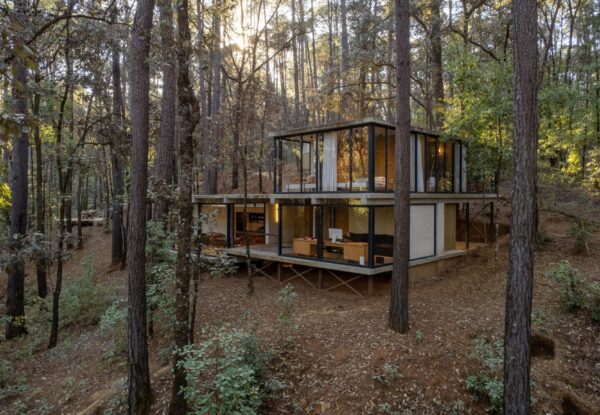 בית שקוף בין העצים מאפשר לחיות בטבע