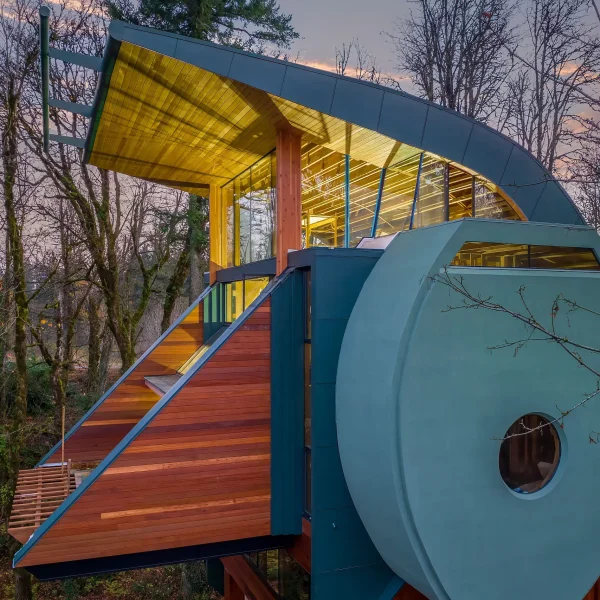 אדריכלות כיצירה חד-פעמית: האדריכלות האורגנית זוכה לתחייה