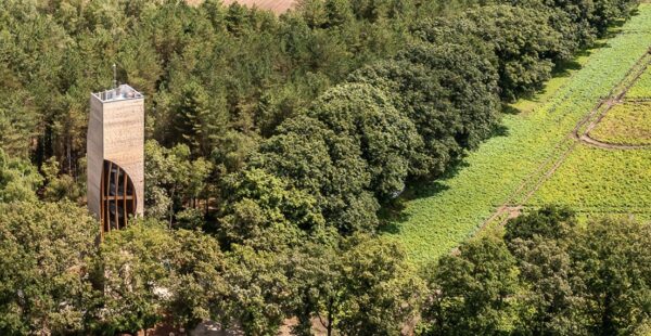מגדל התצפית לטבע – מיועד גם לבעלי חיים