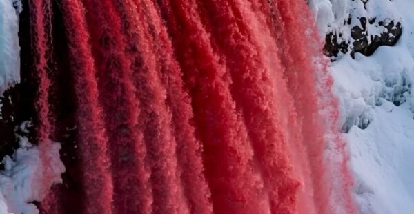 מדענים חשפו את הסוד מאחורי מפלי הדם Blood Falls