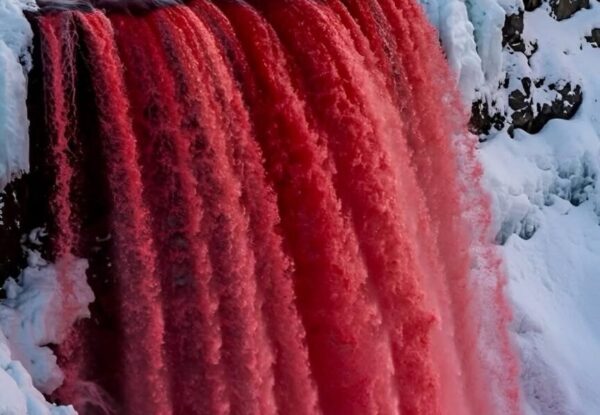 מדענים חשפו את הסוד מאחורי מפלי הדם Blood Falls