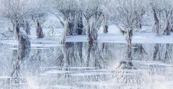 הצבעים של העצב: איך כחול, אפור ושחור מעצבים רגש