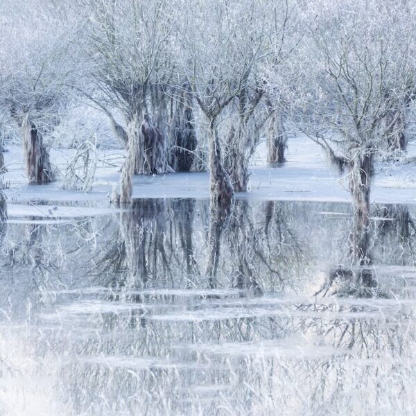 הצבעים של העצב: איך כחול, אפור ושחור מעצבים רגש