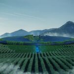 יקב ביוון בצורת צלחת מעופפת