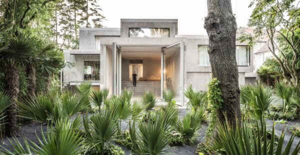 בית בין ברוטליזם לאשליה