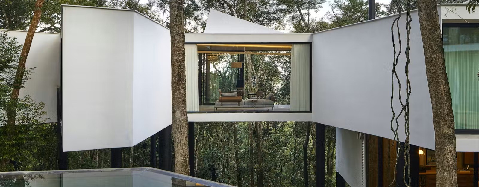 בית שמרחף בין העצים בברזיל