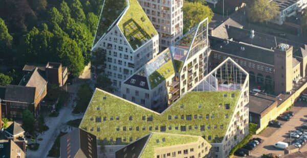 שכונת Nieuw Bergen של MVRDV: מגורים עירוניים עם אור טבעי