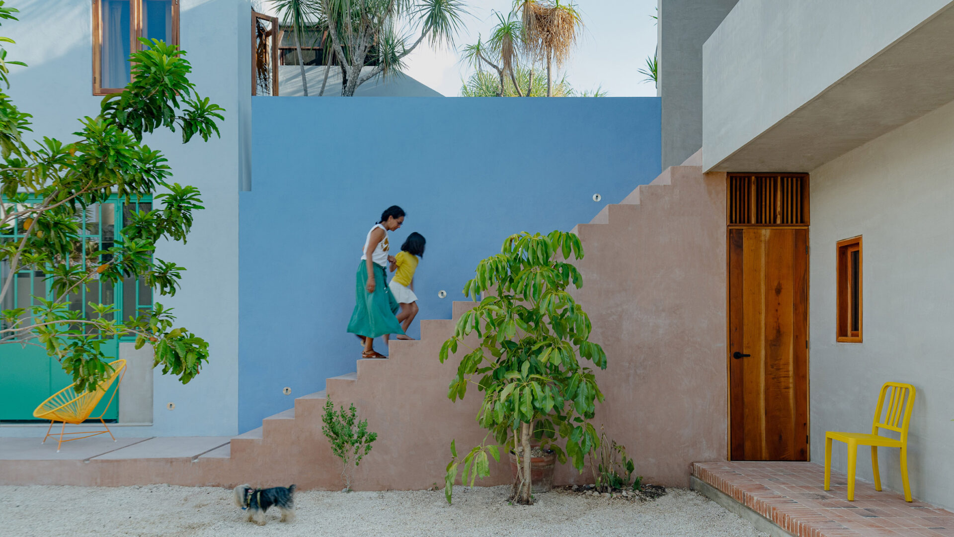 לבן, ירוק וטרופי: הבית המקסיקני שמחבר בין עבר להווה