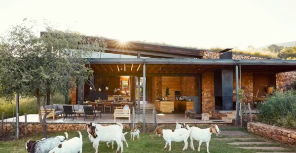 הלודג' בתוך הטבע ומתארחים בו לצד זברות וג'ירפות