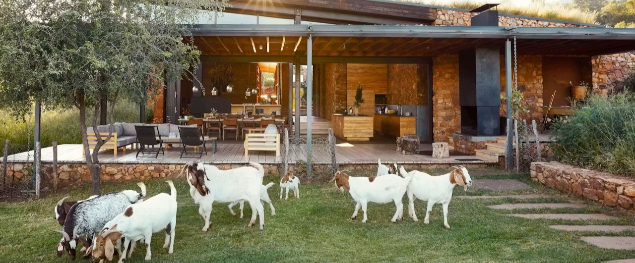הלודג' בתוך הטבע ומתארחים בו לצד זברות וג'ירפות