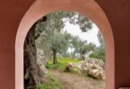 שני בתים בורוד וסגול נטמעים בנוף של מיורקה