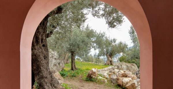 שני בתים בורוד וסגול נטמעים בנוף של מיורקה