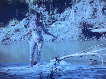 אנה מנדייטה Ana Mendieta והצלליות המתפוגגות / ד"ר דורית קידר