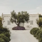 בית כפרי חדש־ישן בין עצי הזית של Puglia