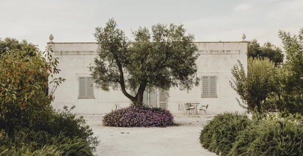 בית כפרי חדש־ישן בין עצי הזית של Puglia