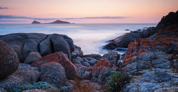 הטבע הפראי של ויקטוריה – Wilsons Promontory National Park