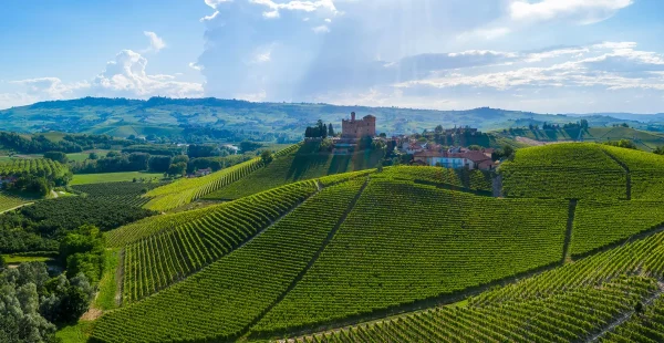 נופי הכרמים של פיימונטה Piedmont 