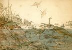 Mary Anning האישה שגילתה לעולם את הפרהיסטוריה, אך העולם שכח לגלות אותה