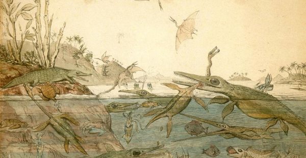Mary Anning האישה שגילתה לעולם את הפרהיסטוריה, אך העולם שכח לגלות אותה