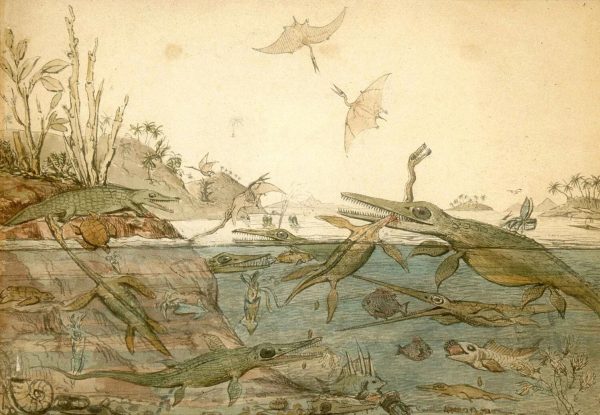 Mary Anning האישה שגילתה לעולם את הפרהיסטוריה, אך העולם שכח לגלות אותה