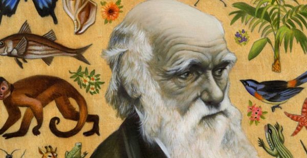האישה שהעזה להתעמת עם Darwin וקביעתו על נחיתותן של נשים